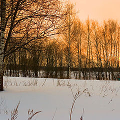 фото "Зимние краски"