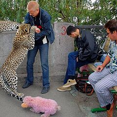 фото "Коммерческая Фотосъёмка с Хищниками: Обеденный Перерыв"