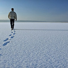 photo "Winter Walk"