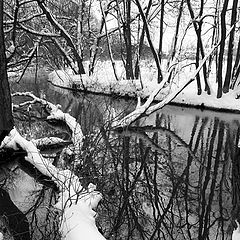 photo "Cold reflections"