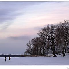 photo "Pink morning"