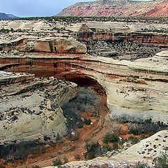 фото "Natural Bridges Utah"