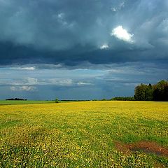 photo "el camino entre Mosc&#250; y San Petersburgo"