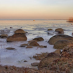photo "Winter gulf #4"