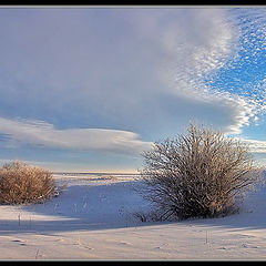 photo "Snow sky #2"