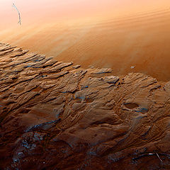 photo "***"