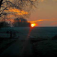 фото "frozen sunrise"