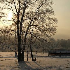 photo "Sunny winter morning"