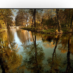 photo "Lvi dvur"