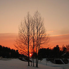 photo "Cold sunset"