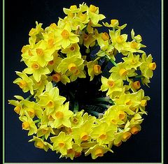 photo "spring wreath"