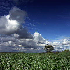 фото "Курганы"