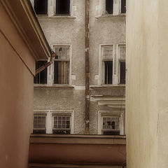 photo "Windows"