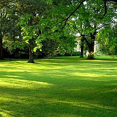 photo "Lovely park in Cappenberg, Germany"