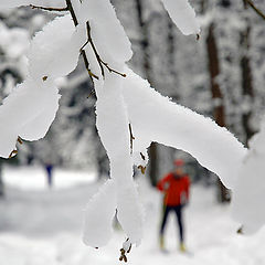 photo "Ski track in Krasnogorsk"