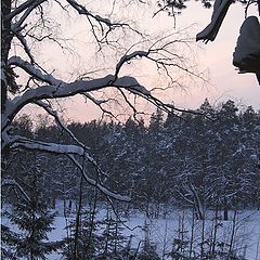 photo "Winter's sentry."