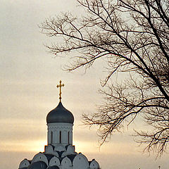 фото "Вечерняя пастораль"