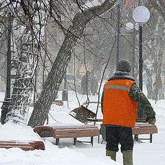 фото ""Снегирь""