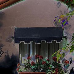 photo "Flower Box"