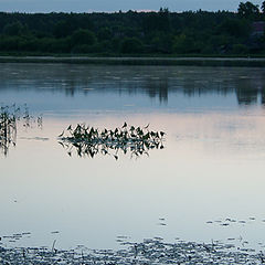 фото "вечереет"