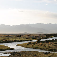 photo "tibet series"