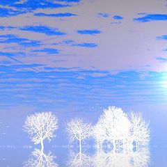 фото "reflection"