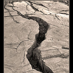 photo "The crack"