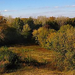 фото "...все краски осени..."