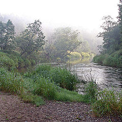 photo "The fog recedes"