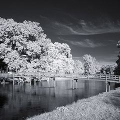 фото "the bridge"