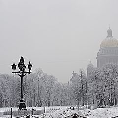 фото "Питерский этюд"