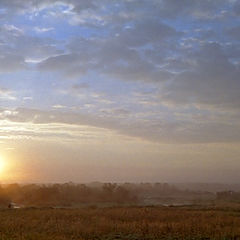 photo "Soft summer morning"