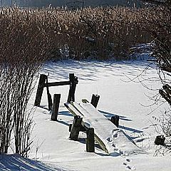 фото "Winter nature"