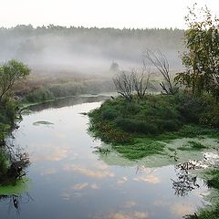 фото "..тишь да гладь..."