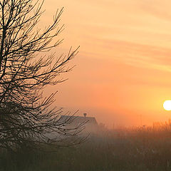 photo "Behind a fog"