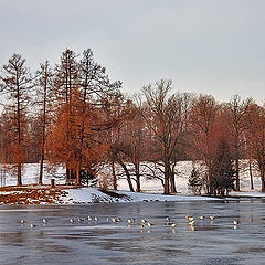 photo "Ice pond"