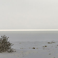 фото "море зимой"