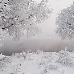 фото "Зима в белых, сахарных тонах..."