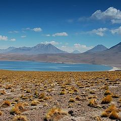 фото "Laguna Miscanti, Chile"