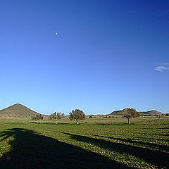 фото "Prairie"