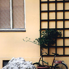 photo "Tha Sketch with  the bicycle"