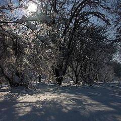 фото "Луч света"