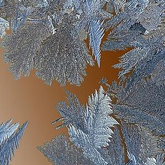 photo "Frosty design"