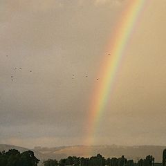 photo "Rainbow"