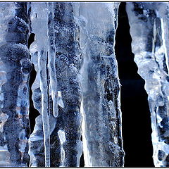 photo "The country of icicles"