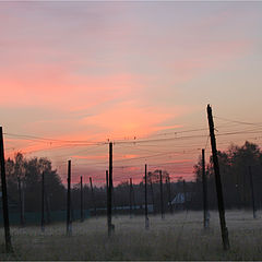 photo "Posts cemetry."