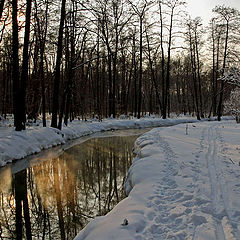 photo "On a sunset of winter day"