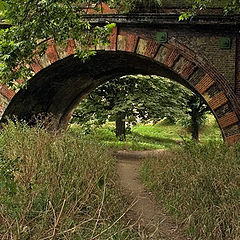 photo "Garden through an arch"