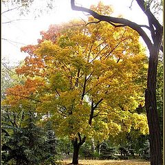 фото "I feel calmness, don't you??/ last colours of autumn"