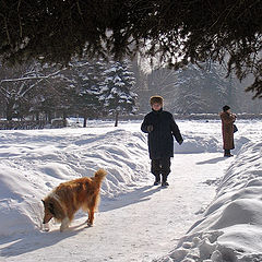 photo "Winter. Photografer."